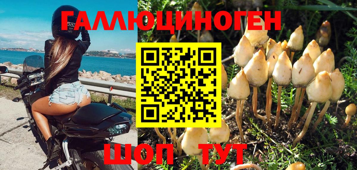 Заречный  Галлюциногенные грибы мухоморы  Галлюциногенные грибы мухоморы  Вход с VPN 